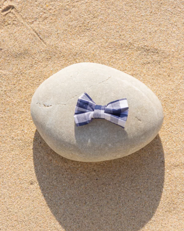 Barette Cléauline vichy bleu