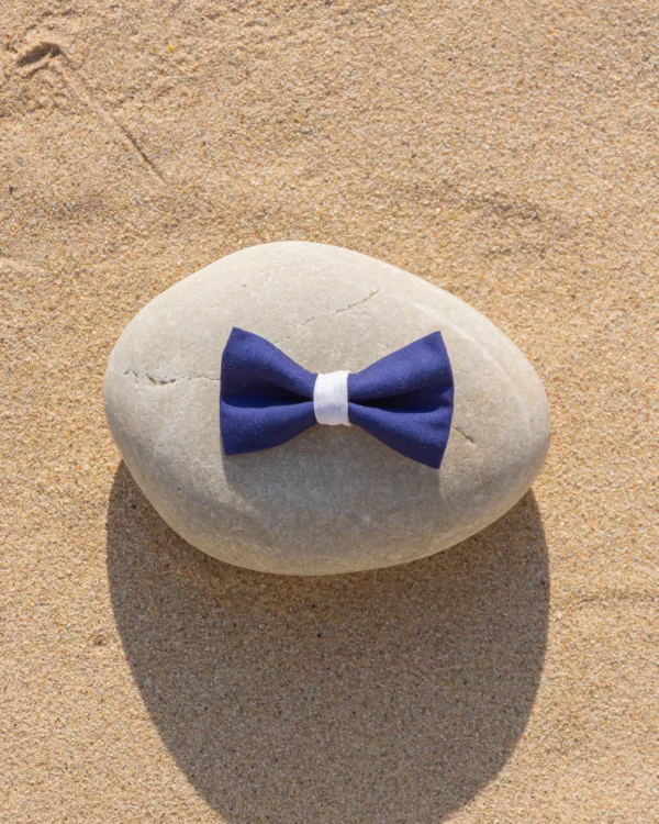 Barette Cléauline bleu et blanc