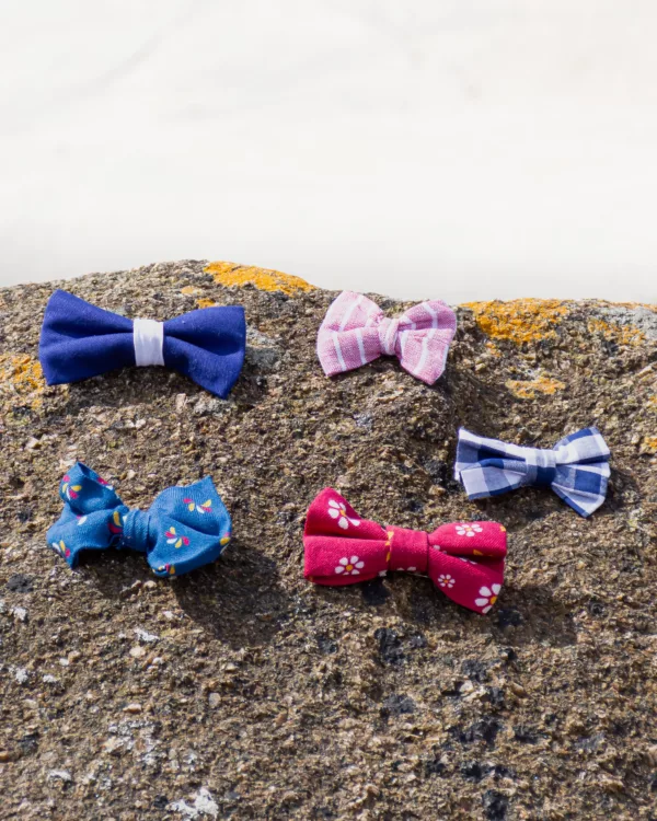 Barrettes Cléauline